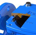 EPOXY Met een laag bedekt Opgericht het Systeem Kneedbaar Ijzer van Schommelingsflex check valve for sewage