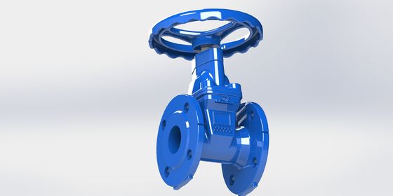 BS Design Standard Water Gate Valve met drukpercentage PN10, EPDM-zegel en WRAS-goedkeuring voor industrieel en commercieel gebruik