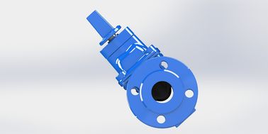 Flanged ends ductiel ijzeren waterpoortklep voor watersystemen