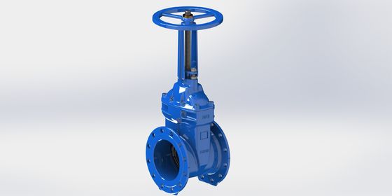 BS Design Standard Watergate Valve met PN25-druk in afmetingen van 2 tot 32 inch en epoxycoating voor waterdistributienetwerken