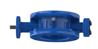 BS ANSI Water Type Dubbel Excentrische Vlinderklep Met ISO Certificering