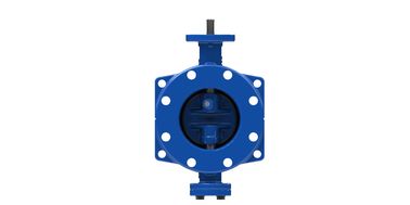 BS ANSI Water Type Dubbel Excentrische Vlinderklep Met ISO Certificering
