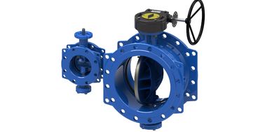 BS ANSI Water Type Dubbel Excentrische Vlinderklep Met ISO Certificering
