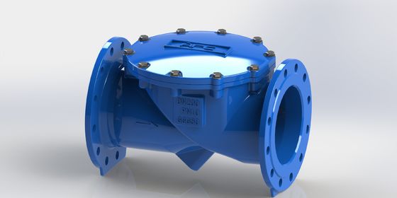 DN50-700 Swing Flex Keerklep met Flens PN10 Aansluiting en EPDM Afdichting voor Industriële Vloeistofsystemen