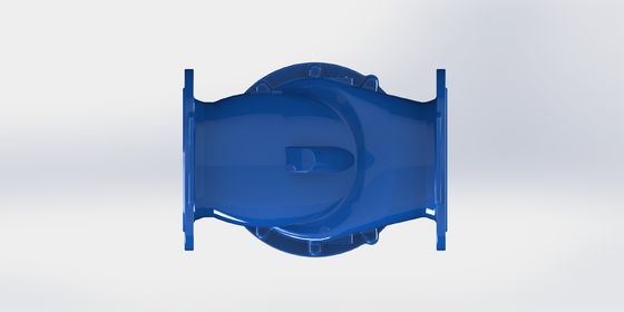 PN16 Nomenclatuurdruk Swing Flex Check Valve met EPDM-dichtingsmateriaal en maat DN50-700 voor industriële toepassingen