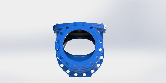 EPDM Seal Swing Flex Check Valve met DN50-700 groottebereik en PN10/PN16 flensverbinding
