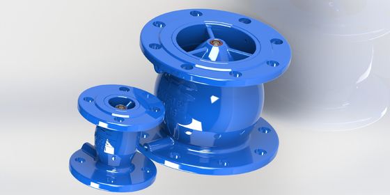 Soft Seal Non Slam Check Valve met anti water hamer en flens verbinding voor betrouwbare stroomregeling