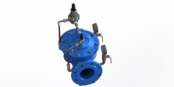 SS304 Zitwaterdrukverlagend klep met EN1092-2 flensstandaard en epoxy-gecoate afwerking