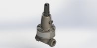 De kneedbare Klep van de het Verschilcontrole van de Ijzerdruk, SS304-Vlotter Proefwater gate valve