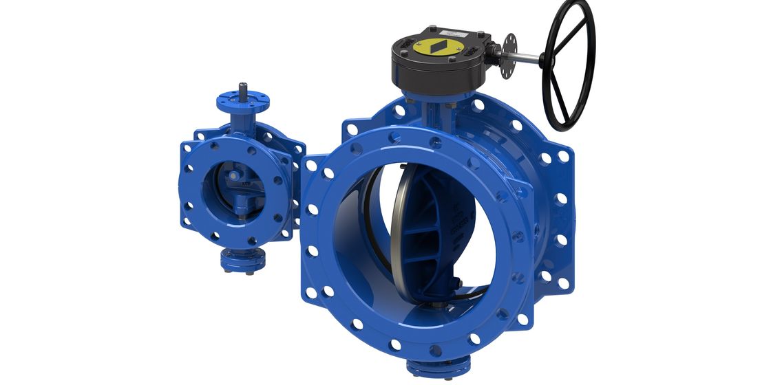 BS ANSI Water Type Dubbel Excentrische Vlinderklep Met ISO Certificering