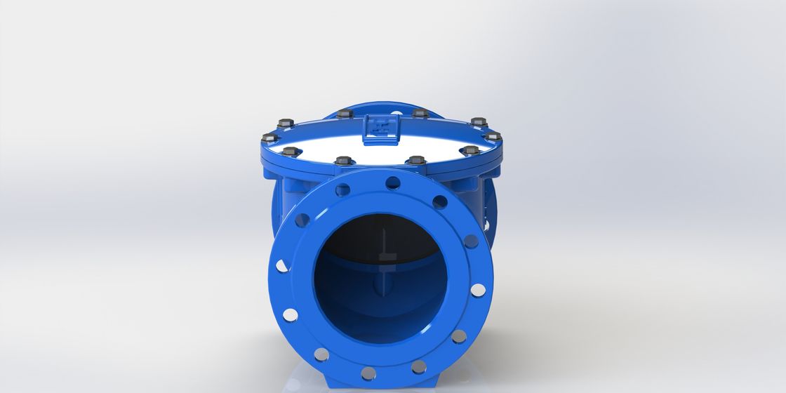 EPDM Seal Swing Flex Check Valve met DN50-700 groottebereik en PN10/PN16 flensverbinding
